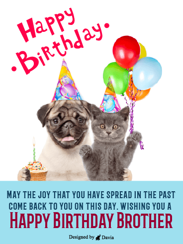 Like Cats & Dogs – Happy Birthday Brother Cards