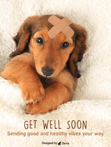 Sad Doggy – Get Well Soon Cards
