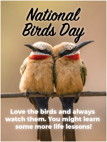 National Bird Day - Love the Birds
