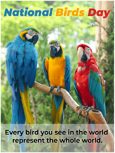  National Bird Day - A World Wide Representation