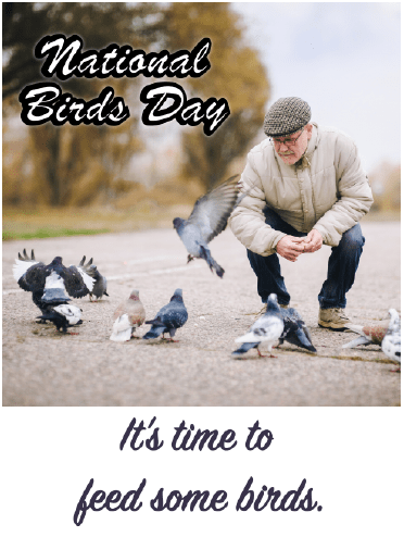 National bird Day - Feed The Birds 