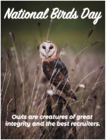 National bird Day - Owls Are Great