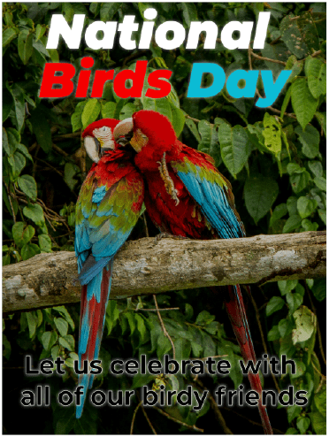 National bird Day - Our Birdy Friends 