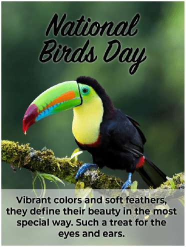 National bird Day -  True Beauty