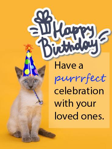 Kitty Birthday – Happy Birthday Everyone
