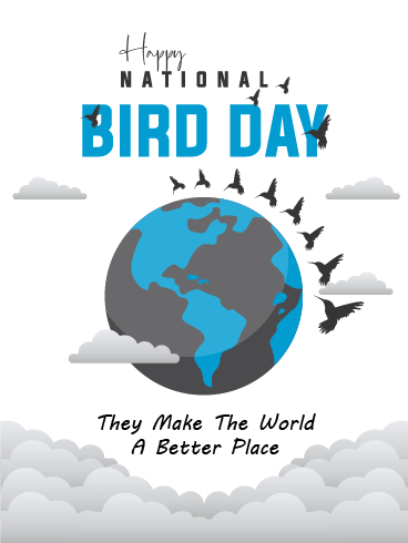 A Better Place – National Bird Day