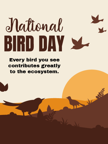 At A Glance– National Bird Day