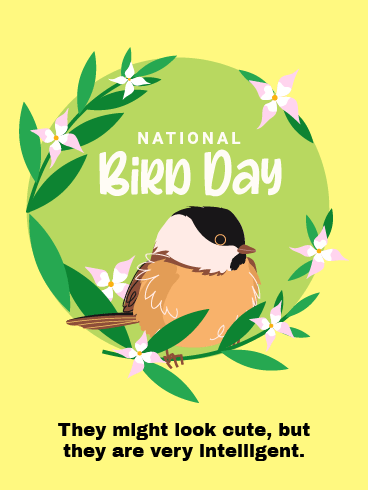 Cute & Intelligent – National Bird Day