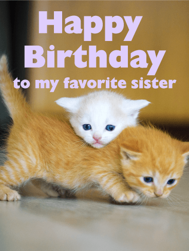 Loving Cats Happy Birthday Card for Sister
