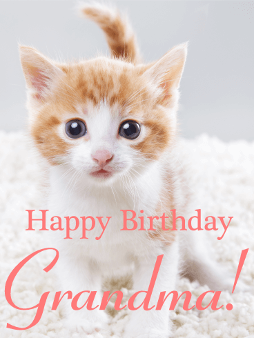 Lovable Cat Happy Birthday Card for Grandma