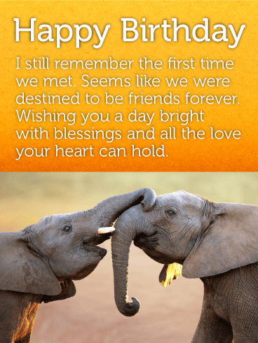 Best Elephant Friends Happy Birthday Card