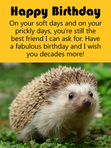 Inspiring Hedgehog Birthday Card