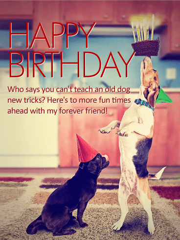 To my Forever Friend - Happy Birthday Card