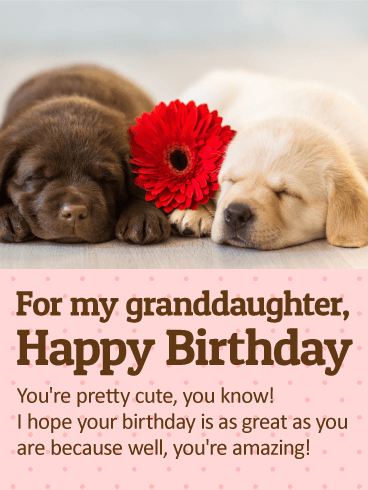 To my Cute Granddaughter - Happy Birthday Wishes Card