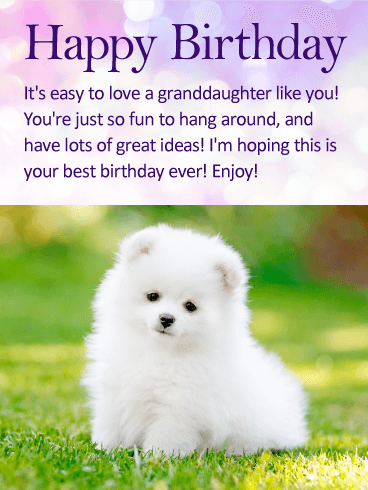 To my Fun Granddaughter - Happy Birthday Wishes Card