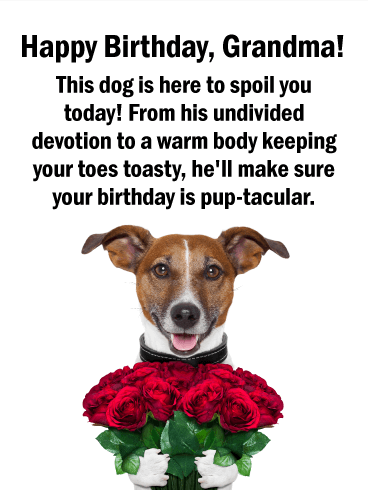 Loving Dog Happy Birthday Card for Grandmother