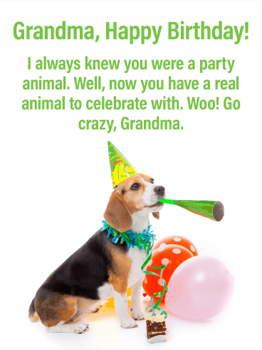 Go Crazy! Happy Birthday Card for Grandmother