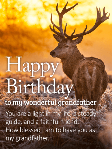To my Wonderful Grandfather - Happy Birthday Wishes Card