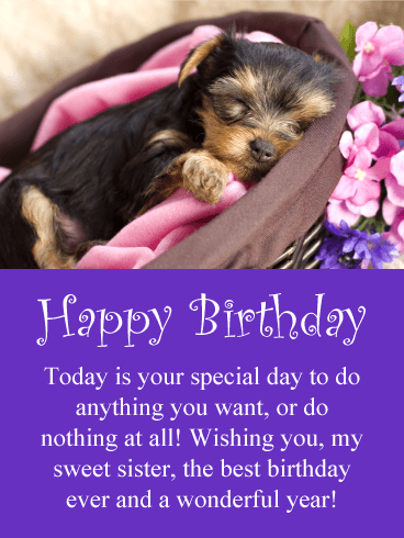 Sweet Puppy Happy Birthday Card for Sister
