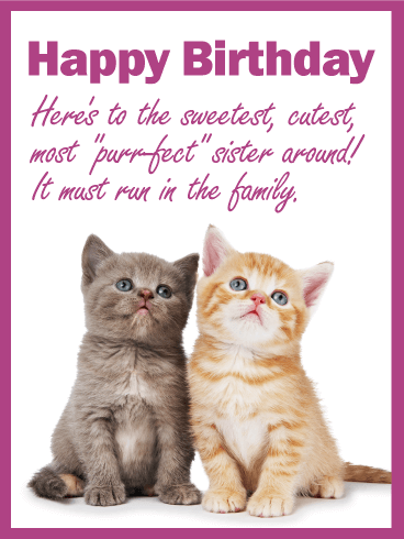 To my Purrfect Sister - Happy Birthday Card
