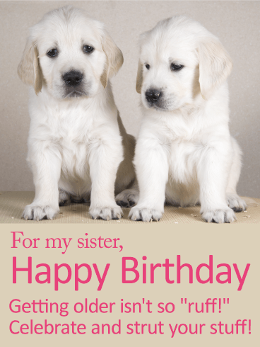 Celebrate Your Day! Happy Birthday Card for Sister