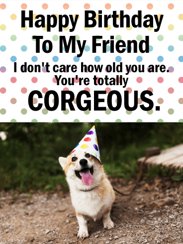 You're Corgeous! Funny Birthday Card for Friends