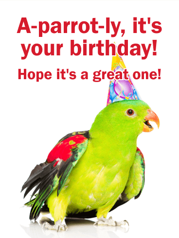 Parrot Funny Birthday Card for Friends