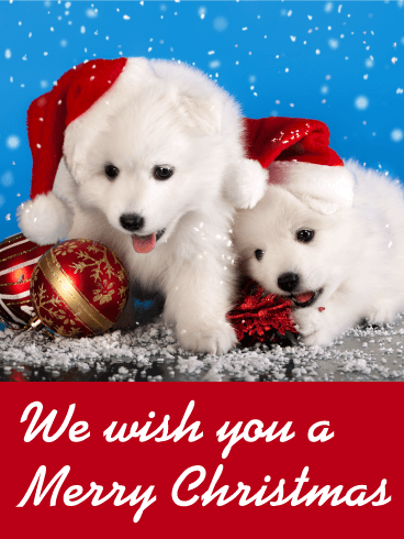 Santa Puppies Merry Christmas Card