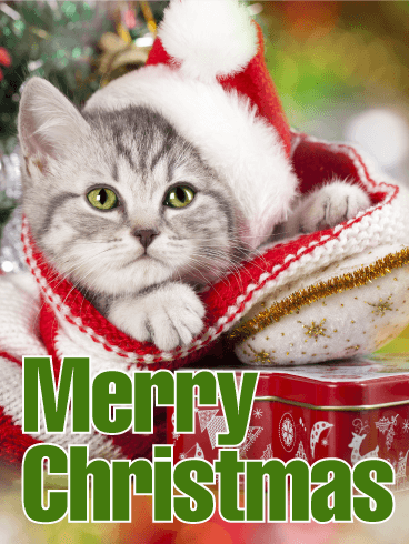 Santa Cat Merry Christmas Card