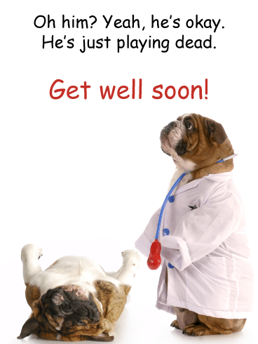 Dog Tricks – Funny Animal Get Well Soon Card