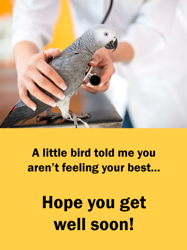 A Little Bird Told Me – Animal Get Well Soon Card