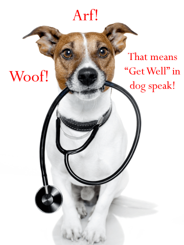 Dog Speak – Funny Animal Get Well Card
