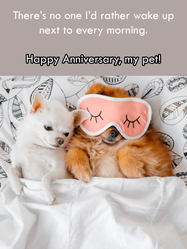 Wake Up to You – Happy Anniversary Card