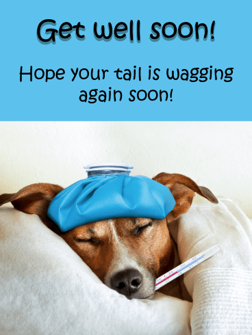 Tail Wagging – Get Well Card