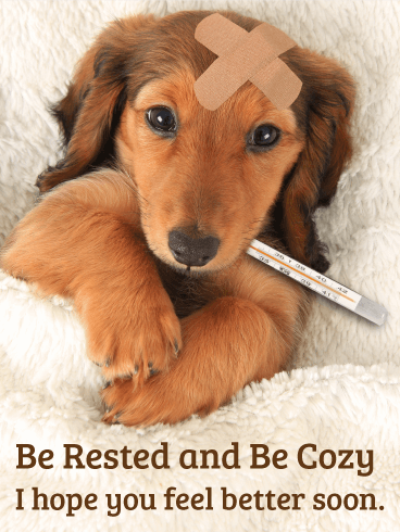 Be Rested and Be Cozy - Get Well Card