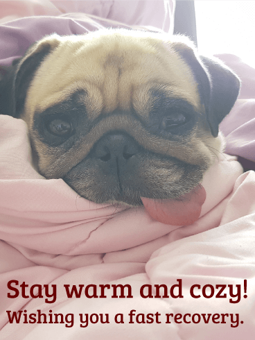 Stay Warm and Cozy - Get Well Card