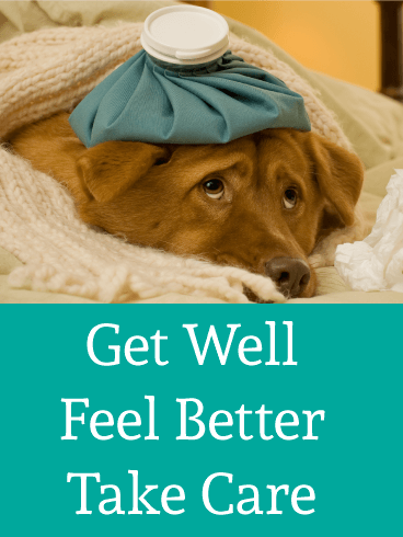Feel Better - Get Well Card
