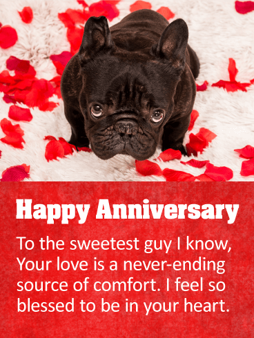 To the Sweetest Guy - Happy Anniversary Card