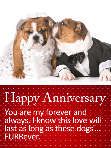 To my Forever & Always - Happy Anniversary Card