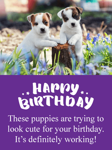 Delightful Balloon - Happy Birthday Card 
