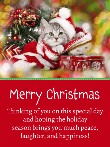 Festive Kitty - Merry Christmas Card for Everyone