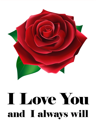 I Love You Red Rose Card