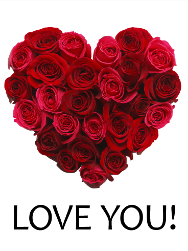 Red Rose Love Card