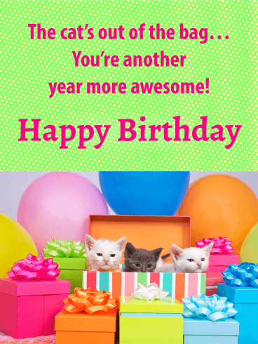 Kitties' Surprise - Happy Birthday Card