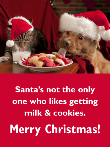 Dog Santa - Funny Merry Christmas Card